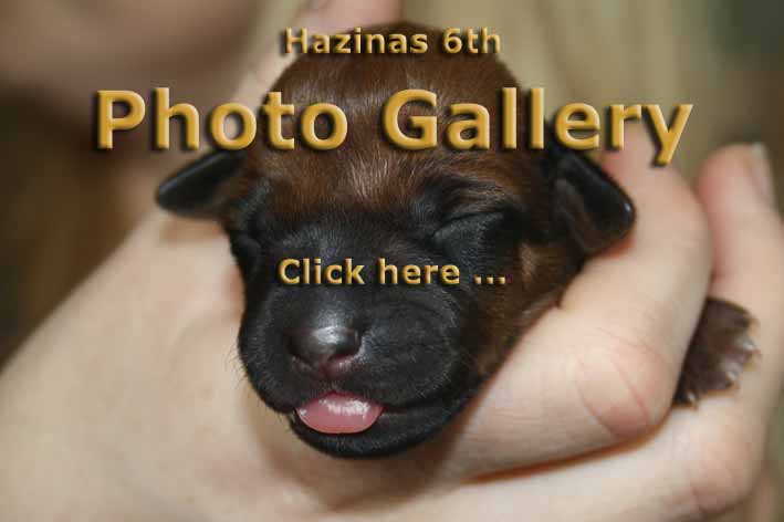 Photo Gallery - Hazinas 6th