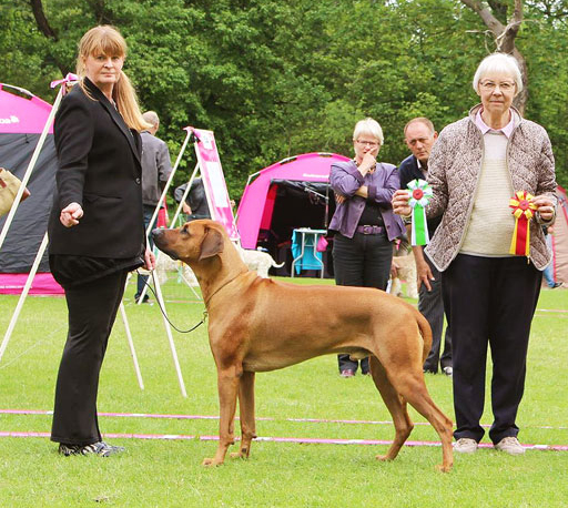 AjabuVejen2015_Cruftskval