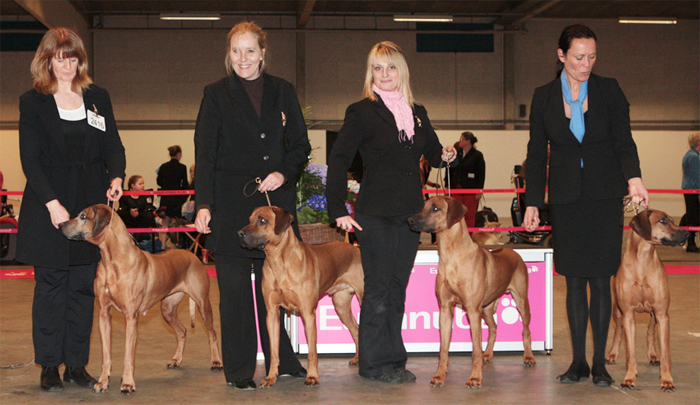 Best Breeders Group 2011