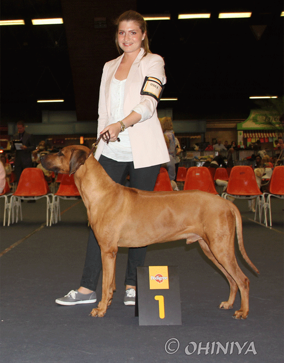 Balou - Veteran Verdensvinder 2012