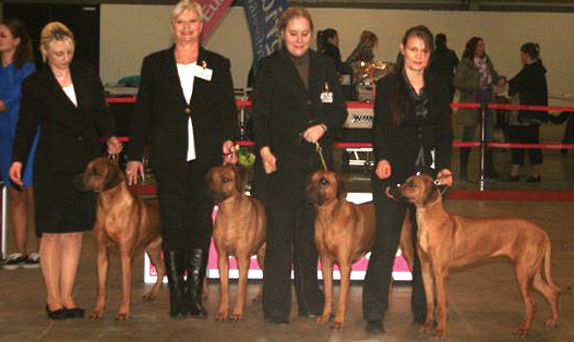 Kennel Hazinas BIS4 Fredericia 2013