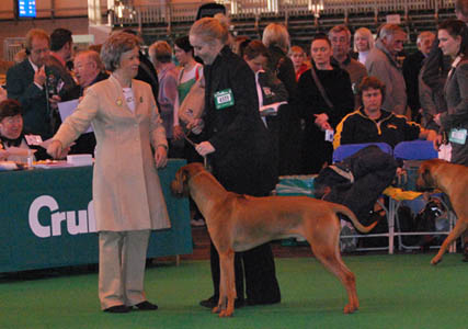 Gaius Crufts 2009