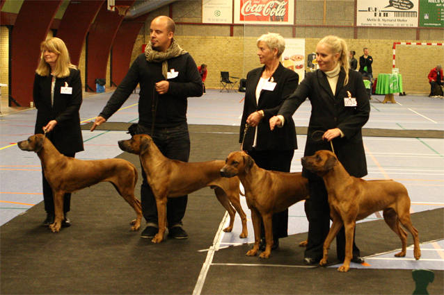 Hazinas Best Breeder's Group