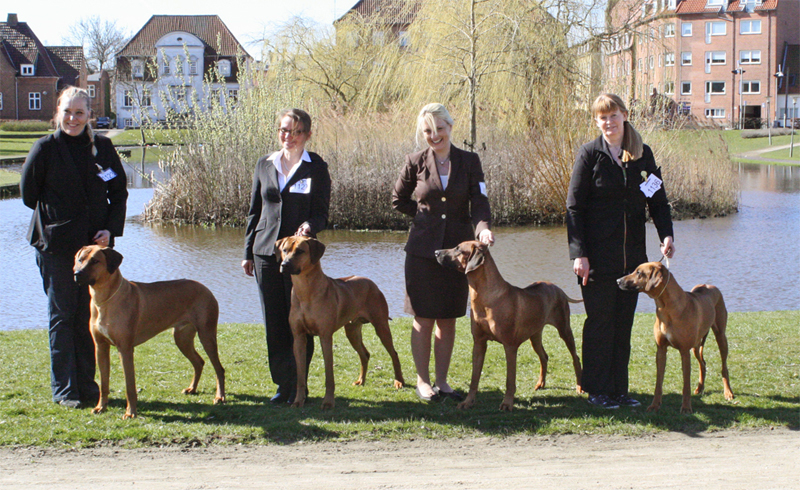 Nykøbing Falster 2014