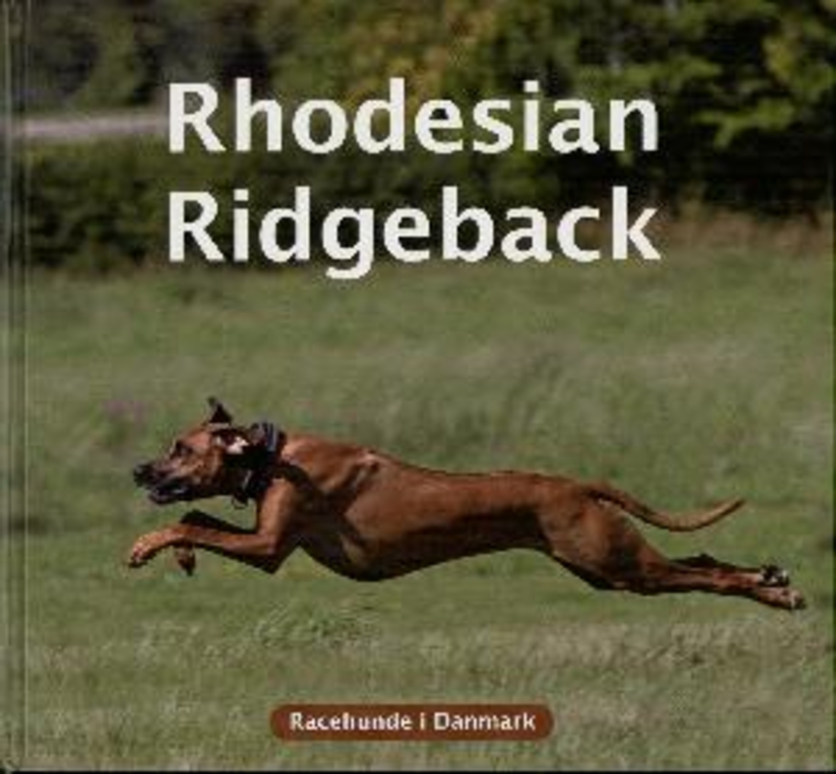 Om Rhodesian