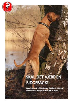 Skal det v&aelig;re en RR