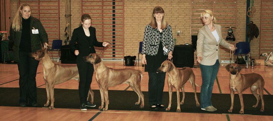 Slagelse 2014 - Opdræt