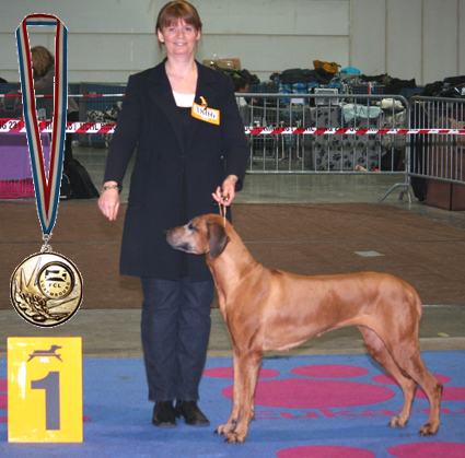 82 Int Dog Show